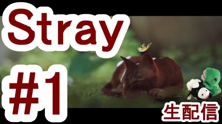 #1【Stray】猫ちゃんがサイバーシティを探索する『Stray』パペットマペット生配信🐮🐸【ゲーム】