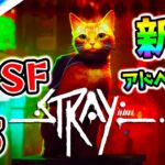3枠目 エンディングまで！『Stray』話題の猫のゲーム！ネコ×サイバーパンクSF！？Part3【PS Plusエクストラで無料 PS5/PS4 ストレイ】