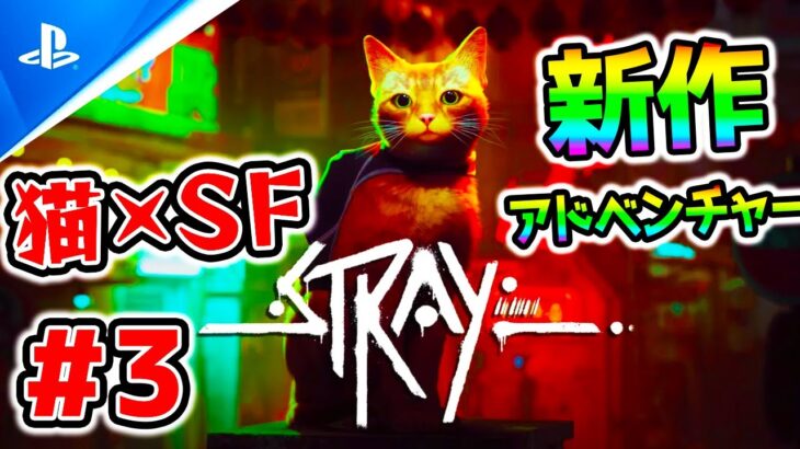 3枠目 エンディングまで！『Stray』話題の猫のゲーム！ネコ×サイバーパンクSF！？Part3【PS Plusエクストラで無料 PS5/PS4 ストレイ】