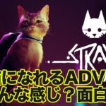 【新作ゲームライブ】猫になって冒険するADV『Stray（ストレイ）』初見実況