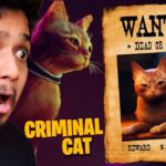 Become Most Wanted Cat – Stray #5 (Cutest Game Ever)