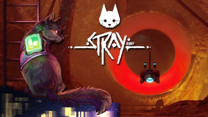 My Worst Nightmares, Alive After All 🐈🤖 Stray • #11