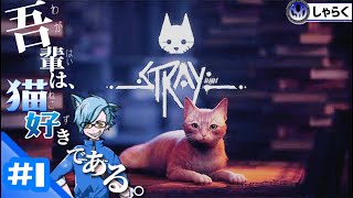 射樂の【STRAY】全世界で大人気インディーズゲーム【猫好き】おすすめ作品。攻略、考察