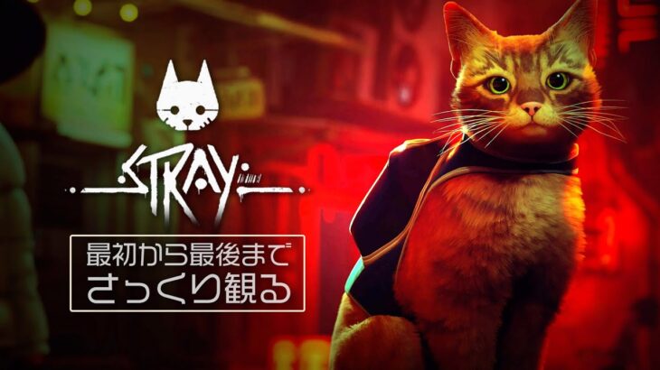 最初から最後までさっくり観る『Stray』｜サイバーパンク野良猫廃墟謎解きアクションアドベンチャー的なゲーム