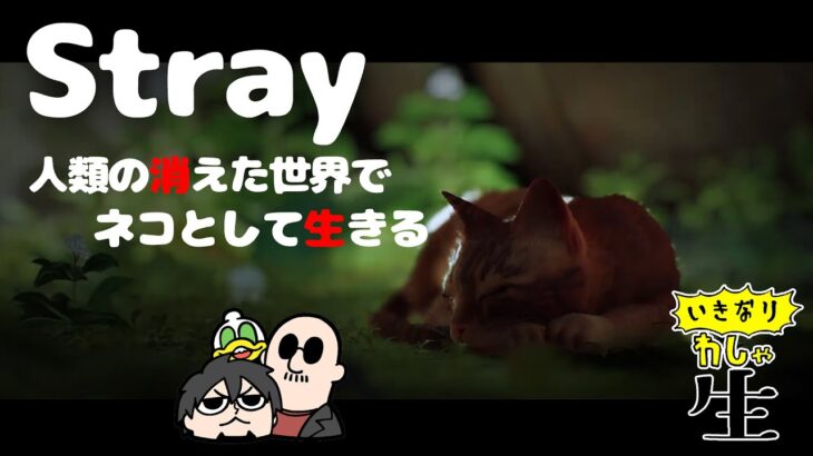 【Stray】迷いネコちゃんを操作してのんびり猫ライフを楽しむとおもいきや、めちゃくちゃ良質雰囲気のゲーム