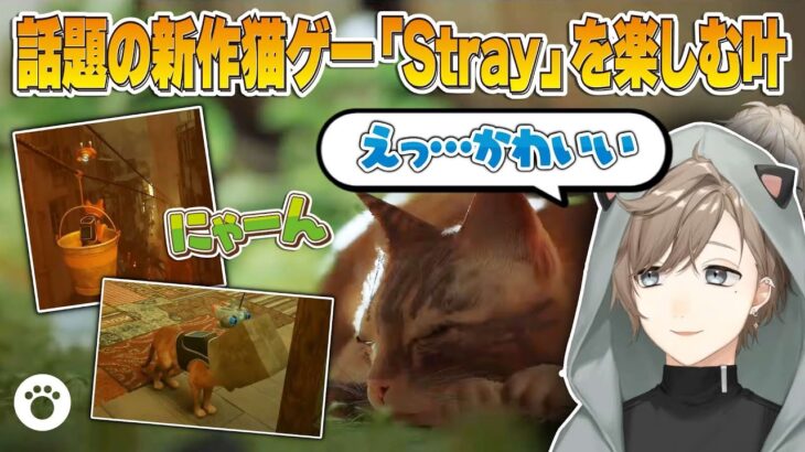 【Stray】かわいい猫が主人公の話題のゲームを楽しむかわいい叶【にじさんじ切り抜き】