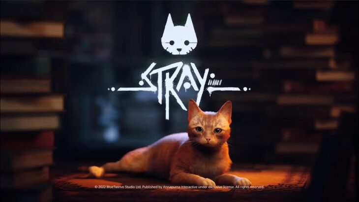 猫のゲーム「Stray」