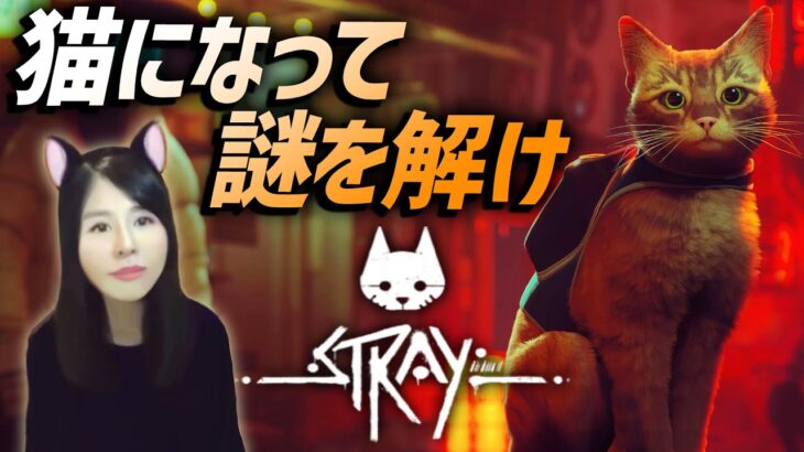 【Stray】新作実況！女性ゲームライターが野良猫アドベンチャーをネコ耳で攻略／インサイドウォール、デッドシティ、スラム(ストレイ)