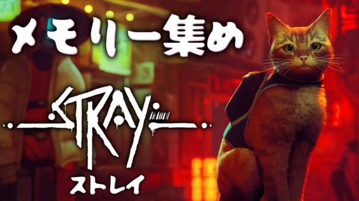 【Stray】クリア後メモリー集めで考察深める🐈猫×サイバーパンクアドベンチャー【ストレイ】