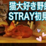 【Stray】猫大好き野郎の究極の猫ゲー初見攻略！！【ネタバレしたら出禁！！】