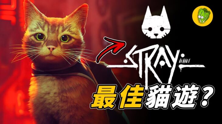 《浪貓 Stray》貓咪模擬器真的好玩嗎？