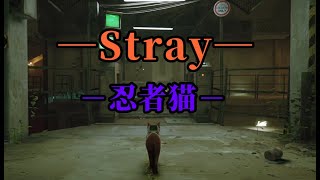 Stray　実績/トロフィー「忍者猫」