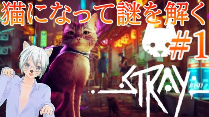 猫になって謎を解く『Stray』　初見プレイ攻略#1（ネタバレ注意）