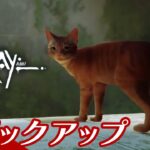 【猫とゲームの作り込みに感動】Stray生放送#1 からピックアップ【2BRO.】
