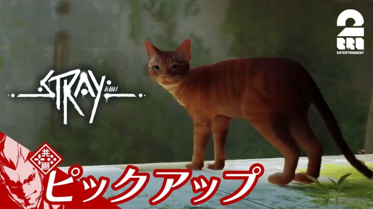 【猫とゲームの作り込みに感動】Stray生放送#1 からピックアップ【2BRO.】