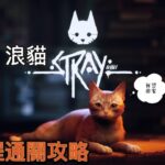 【浪貓/Stray】#1牆内 賽博朋克貓咪探險遊戲 全流程通關攻略 4K PS5 PS4 Steam