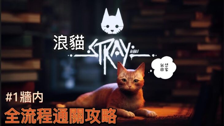 【浪貓/Stray】#1牆内 賽博朋克貓咪探險遊戲 全流程通關攻略 4K PS5 PS4 Steam