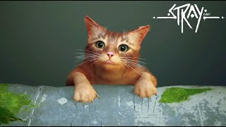 リアルすぎると話題の猫になれるゲーム『Stray』#1