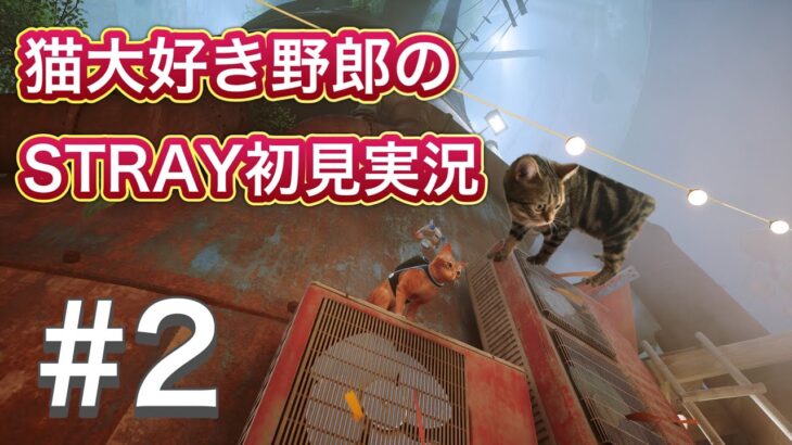 【Stray】猫大好き野郎の究極の猫ゲー初見攻略！！#2【ネタバレしたら出禁！！】