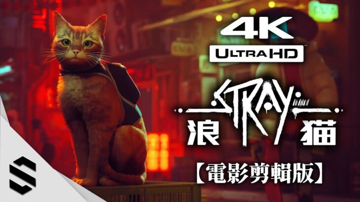 【浪貓：Stray】4K電影剪輯版 – 🐈可愛貓咪冒險之旅💕 – 無介面、主支線全解、電影式運鏡 – 迷失 – Semenix出品