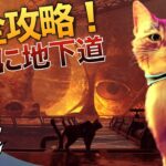 【最新猫ちゃんゲームStray完全攻略】#6 地下道【銀狼ケモVtuberラバルルのゲーム実況】
