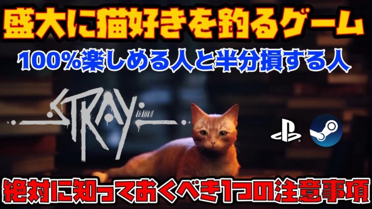 Stray：猫好きを釣るゲーム！注意！人によっては損するかも？(ストレイ)【7月のゲーム新作】