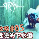 Stray【PC 4K60P】浪貓 【下水道】【蟻村】劇情攻略05# Gameplay Walkthrough ストレイ
