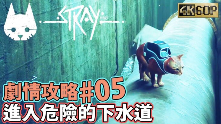 Stray【PC 4K60P】浪貓 【下水道】【蟻村】劇情攻略05# Gameplay Walkthrough ストレイ