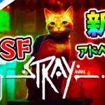 【新作】『Stray』話題の猫のゲーム！ネコ×サイバーパンクSF！？1枠目 Part1【PS Plusエクストラで無料 PS5/PS4 ストレイ】