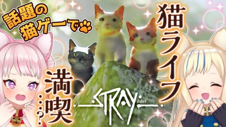 【話題の猫ゲー】Stray：ネコから始める異世界生活