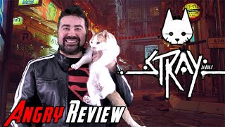 Stray – Angry Review