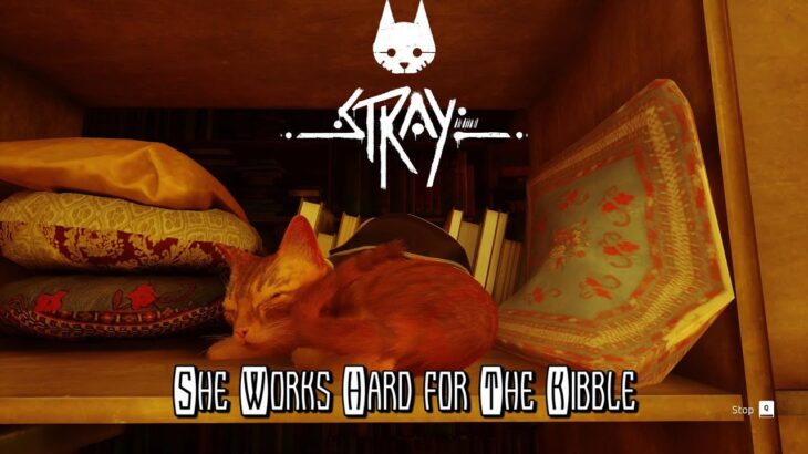 Stray – She Works Hard For The Kibble