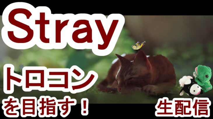 【Stray】トロフィーコンプリートを目指す生放送！猫ちゃんがサイバーシティを探索する『Stray(ストレイ)』パペットマペット生配信🐮🐸【ネコゲーム】