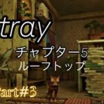Stray実況part#3 チャプター5 ルーフトップ攻略　　　PlayStation5版