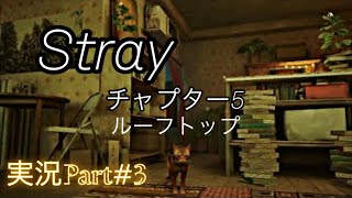 Stray実況part#3 チャプター5 ルーフトップ攻略　　　PlayStation5版