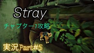 Stray実況part#5 チャプター7 「デッドエンド」攻略　　　　　　　　　　　PlayStation５版　（PlayStation Plusエクストラ）