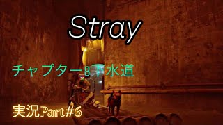 Stray実況part#6 チャプター8 「下水道」攻略　　　　　　　　　　　　　　　PlayStation５版（PlayStation plusエクストラ）