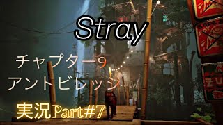 Stray実況part#7 チャプター9「アントビレッジ」攻略　　　　　　　　　　　　　　PlayStation５版（PlayStation plusエクストラ）