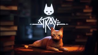 [PS4] Stray “キャント・キャット・ミー” 攻略 ～Trophy “Can’t Cat-ch Me”～