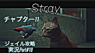 Stray 実況part#10 チャプター11「ジェイル」攻略　　　　　　　　　　　　　　PlayStation５版