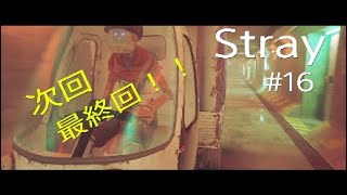 ［画質1080p］ 《初見プレイ》 Stray ストレイ #16 ［次回いよいよ最終回！！］