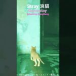 浪貓 Stray ｜Stray Gameplay Live Stream｜浪貓 攻略｜Stray Gameplay Walkthrough｜#stray #straycat #浪貓 #shorts