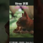 浪貓 Stray ｜Stray Gameplay Live Stream｜浪貓 攻略｜Stray Gameplay Walkthrough｜#stray #straycat #浪貓 #shorts
