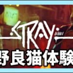 【STRAY】#2　Stray攻略完！！二次会！！！【のいげ】